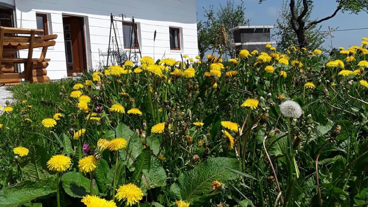 Photo of Outdoor in Buchenberg