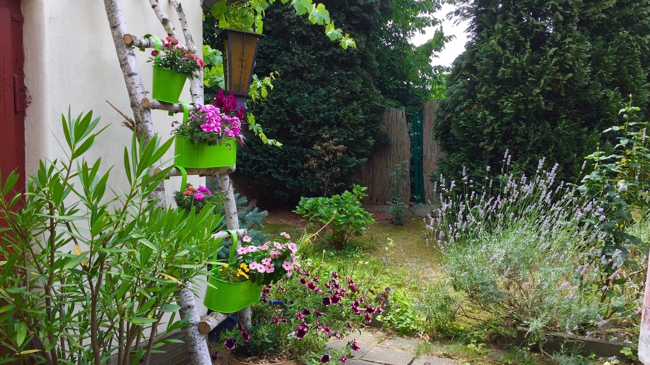 Photo of Outdoor in Großsedlitz