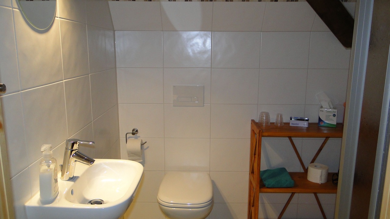 Photo of Bathroom in Berggieshubel