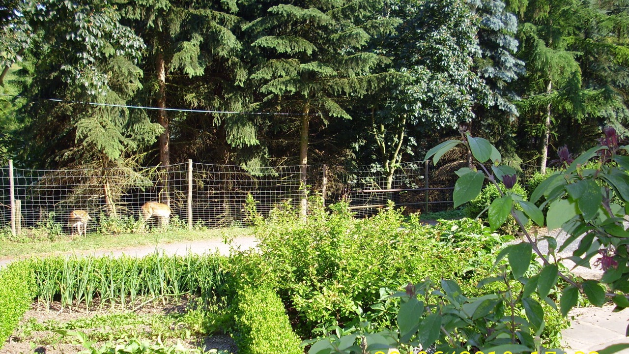 Photo of Outdoor in Berggieshubel