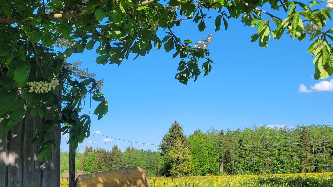 Photo of Outdoor in Rott