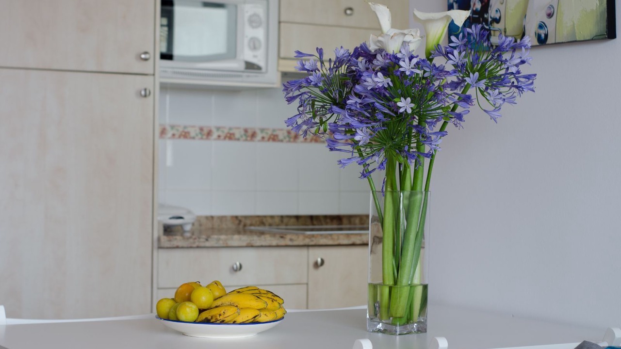 Photo of Kitchen in San Felipe