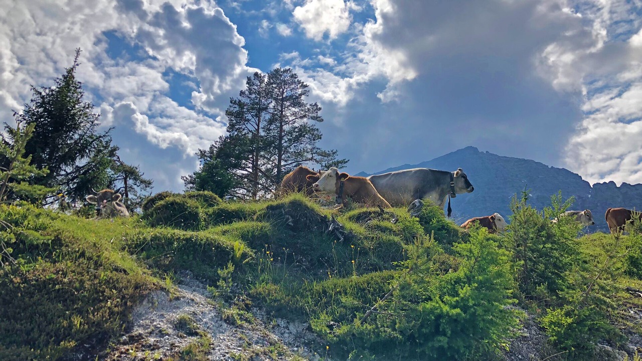 Photo of Outdoor in Telfes im Stubai