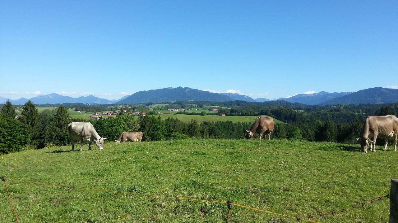 Photo of Outdoor in Bad Bayersoien