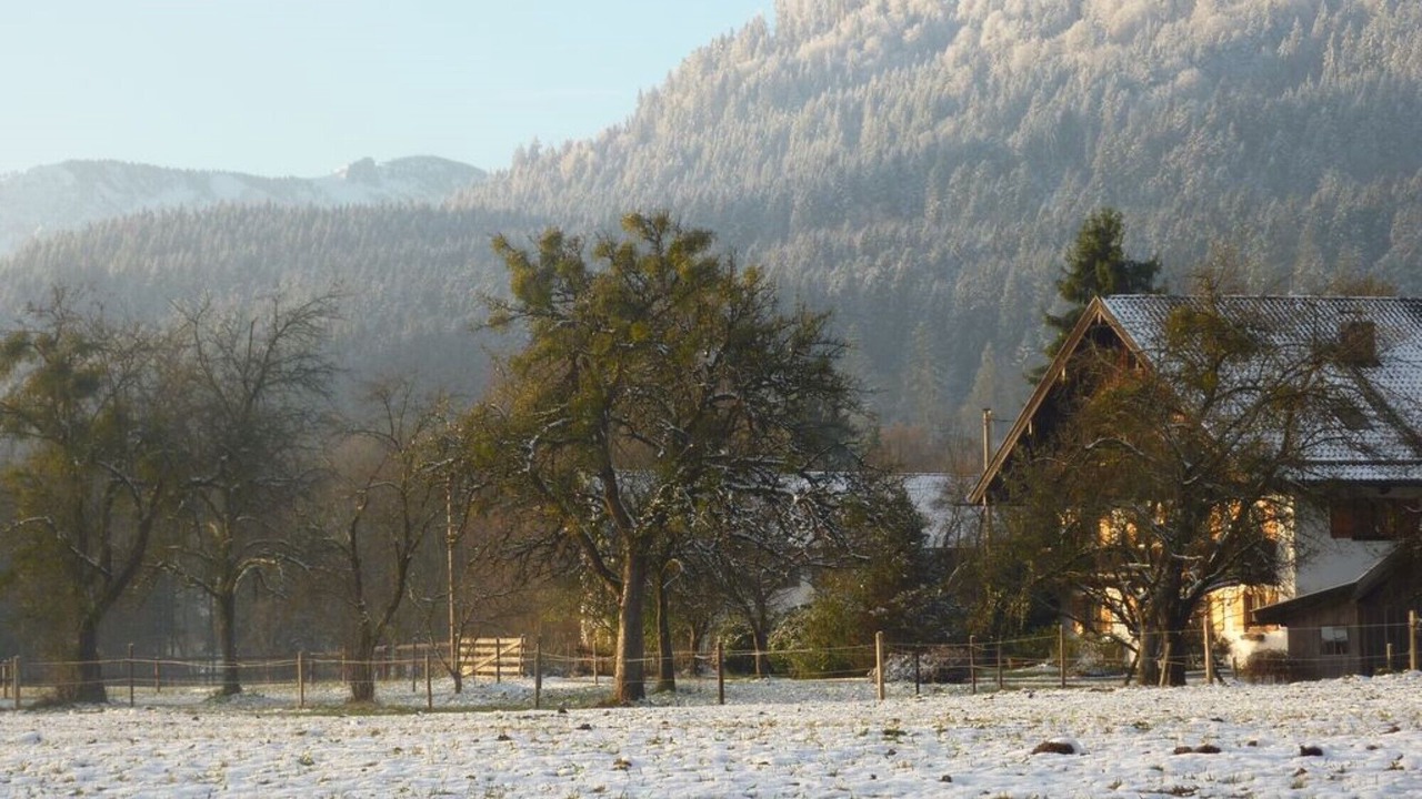 Photo of Others in Wackersberg