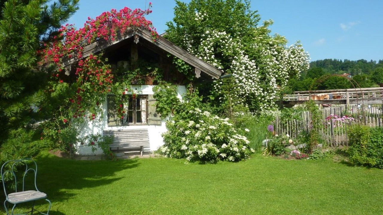 Photo of Outdoor in Wackersberg