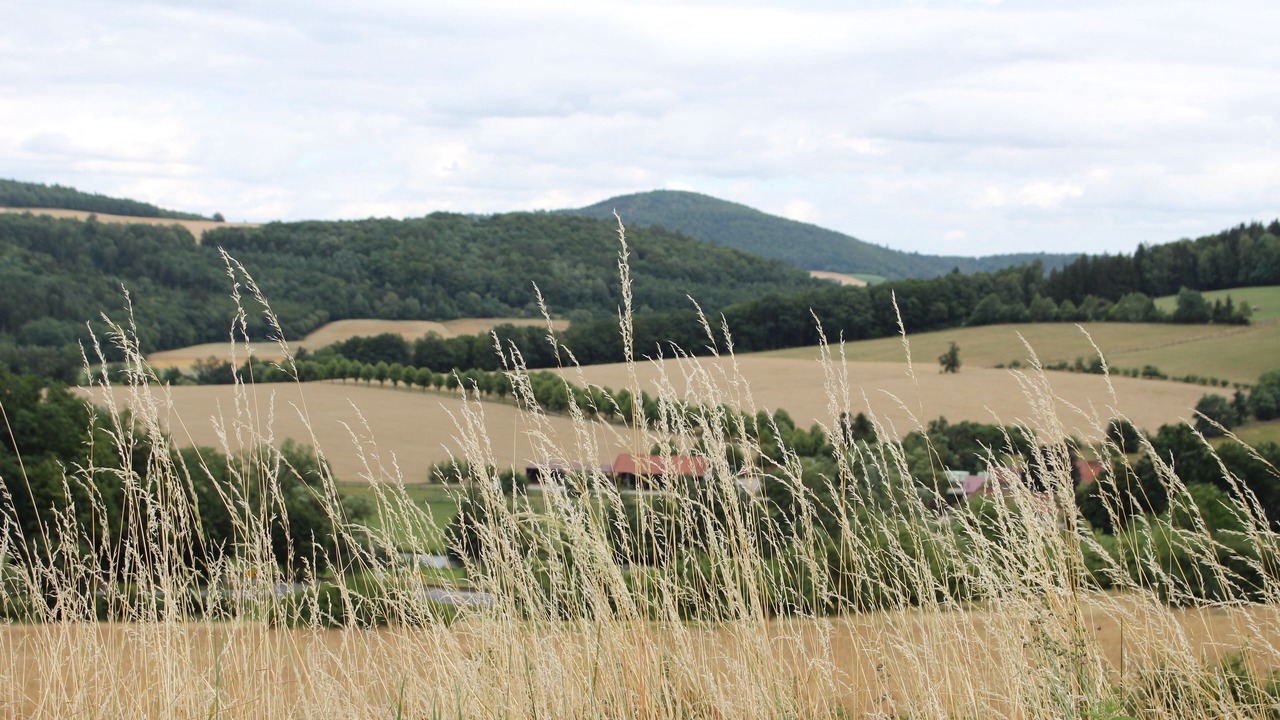 Photo of Outdoor in Graefendorf