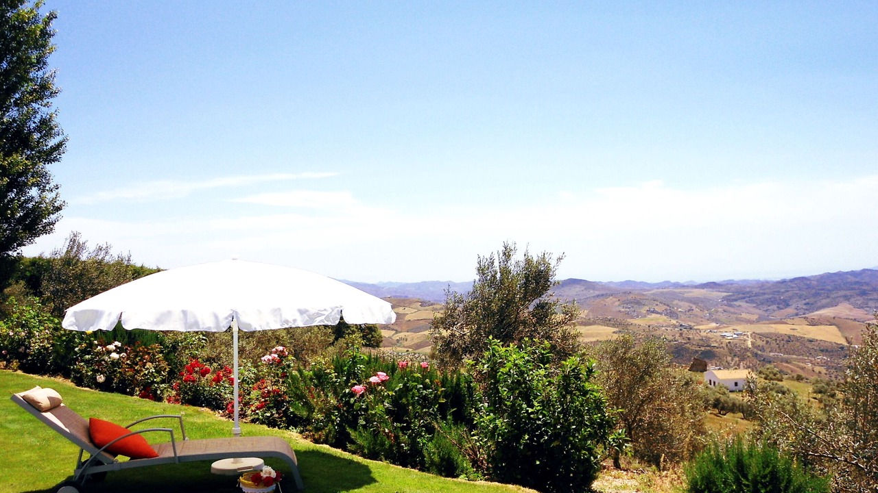 Photo of Outdoor in La Joya
