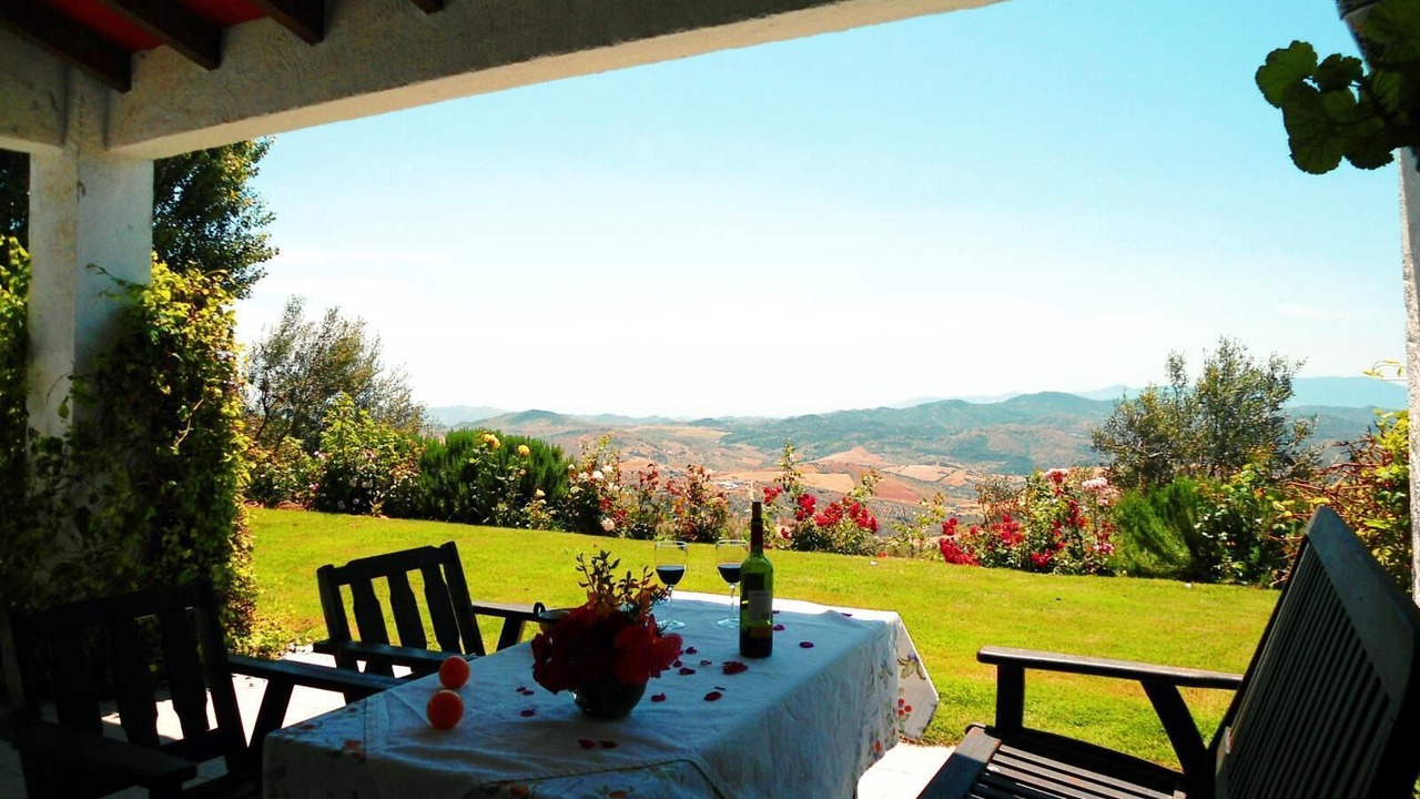 Photo of Outdoor in La Joya