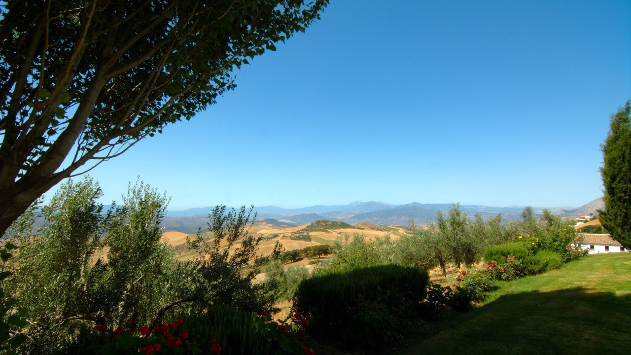 Photo of Outdoor in La Joya