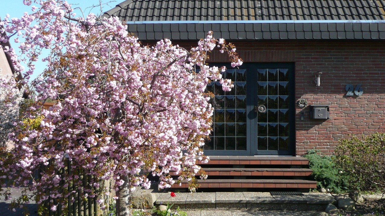 Photo of Outdoor in Wendtorf
