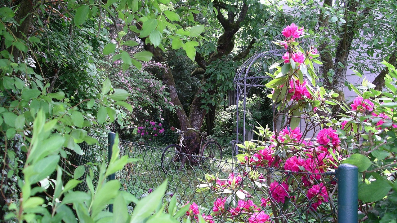 Photo of Outdoor in Neuendettelsau