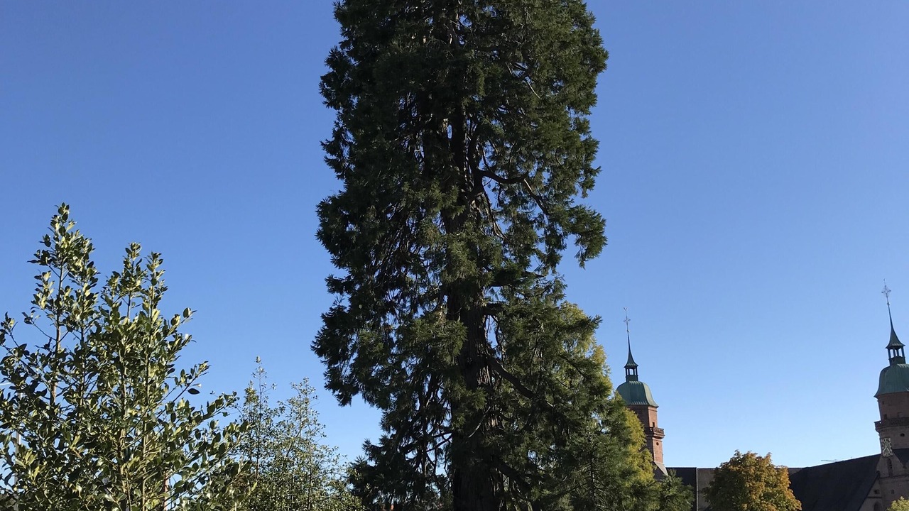 Photo of Outdoor in Freudenstadt