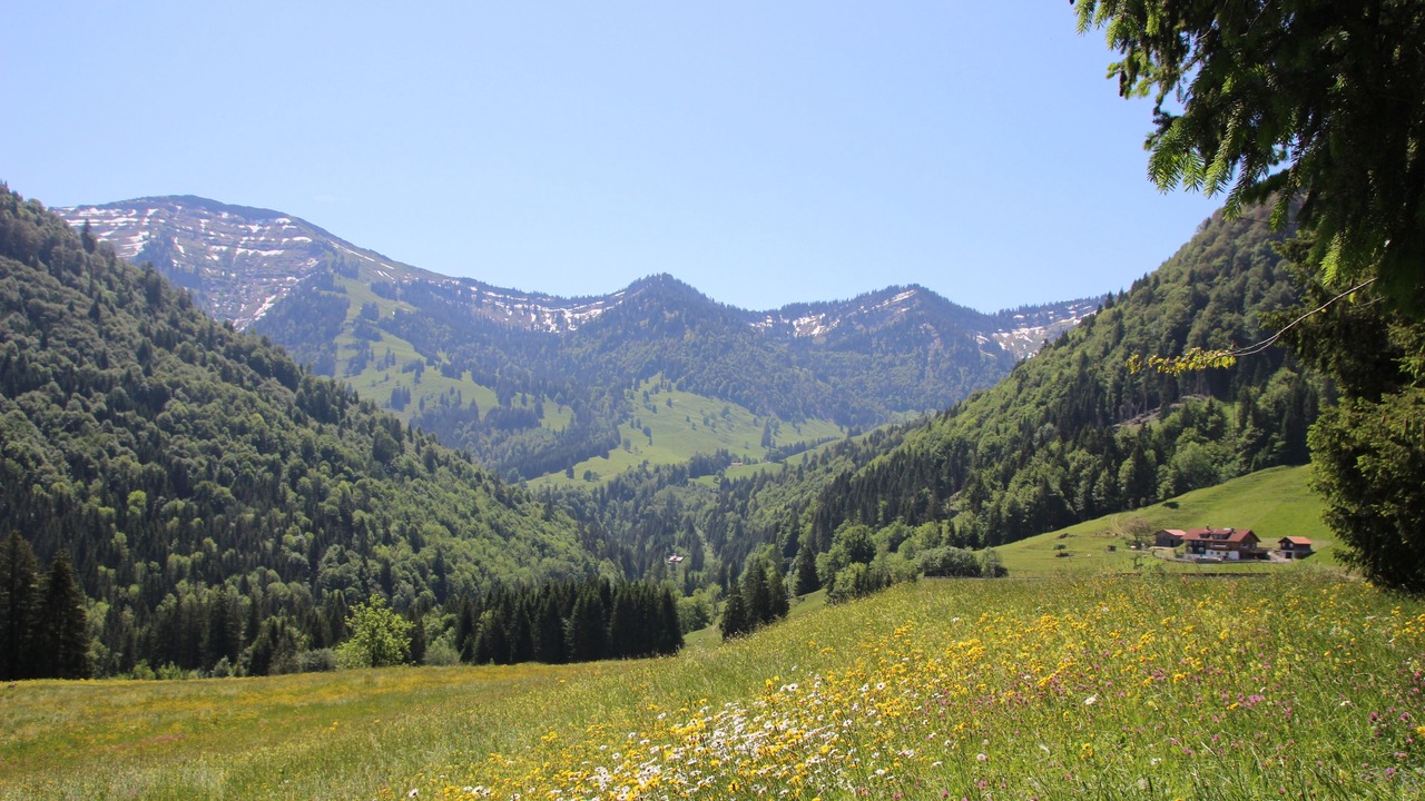 Photo of Outdoor in Steibis