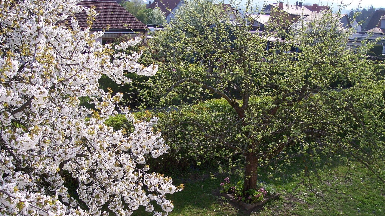 Photo of Outdoor in Friedrichsthal