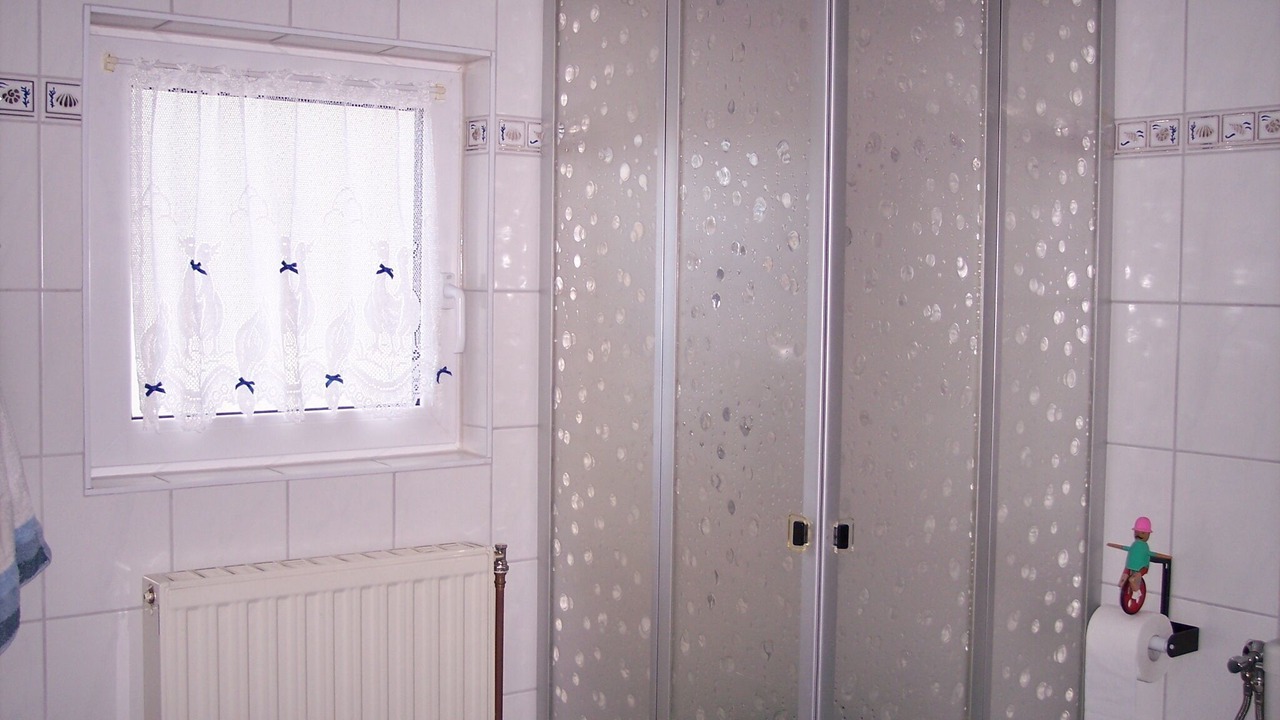 Photo of Bathroom in Friedrichsthal