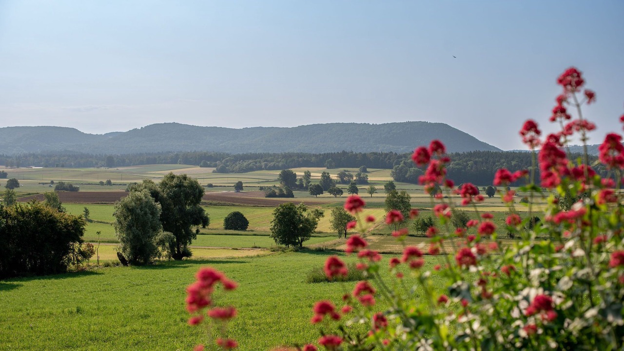 Photo of Outdoor in Klettgau