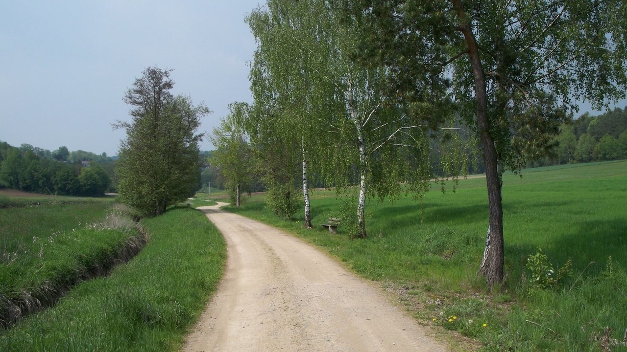 Photo of Outdoor in Stamsried