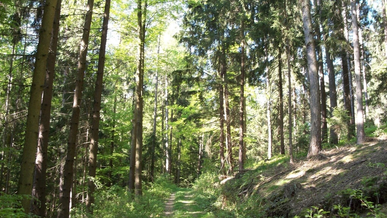 Photo of Outdoor in Stamsried
