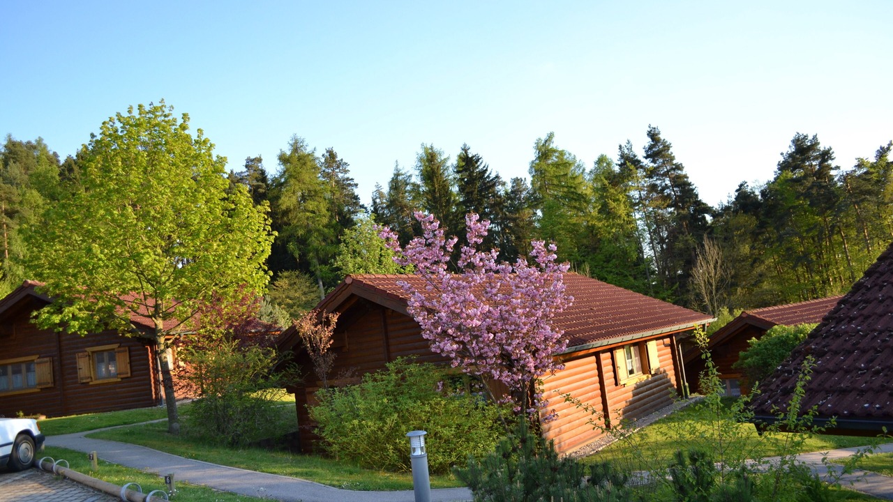 Photo of Outdoor in Stamsried