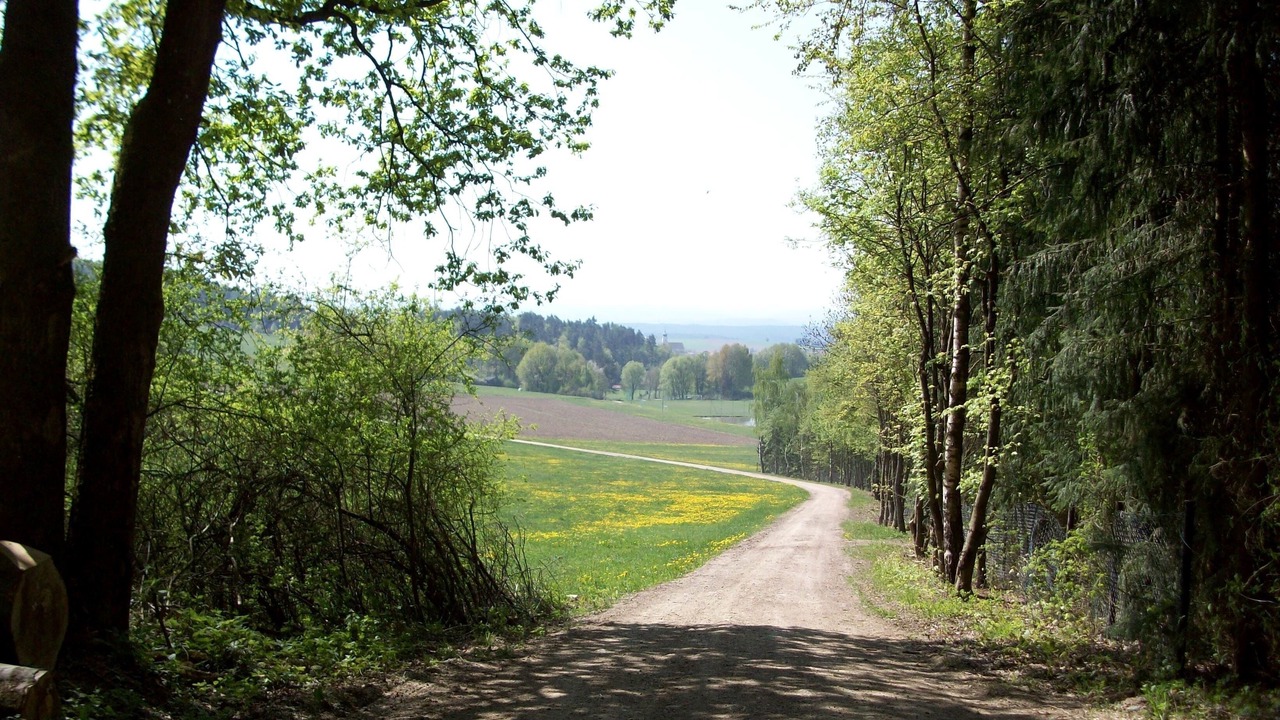 Photo of Outdoor in Stamsried