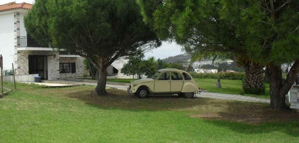 Photo of Outdoor in Alcobaca
