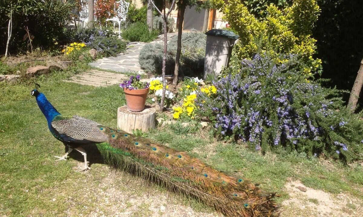 Photo of Outdoor in Olmedo