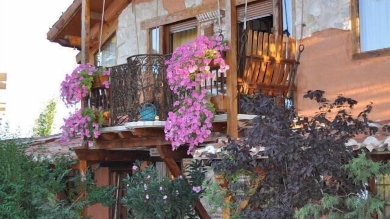 Photo of Outdoor in Olmedo