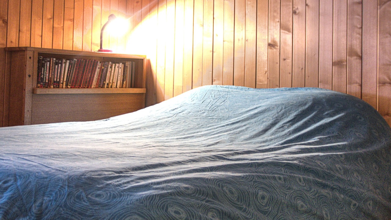 Photo of Bedroom in Montroc