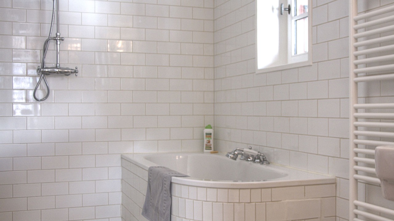 Photo of Bathroom in Montroc