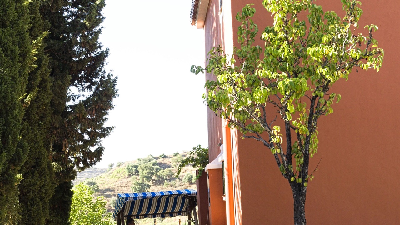 Photo of Outdoor in Mijas