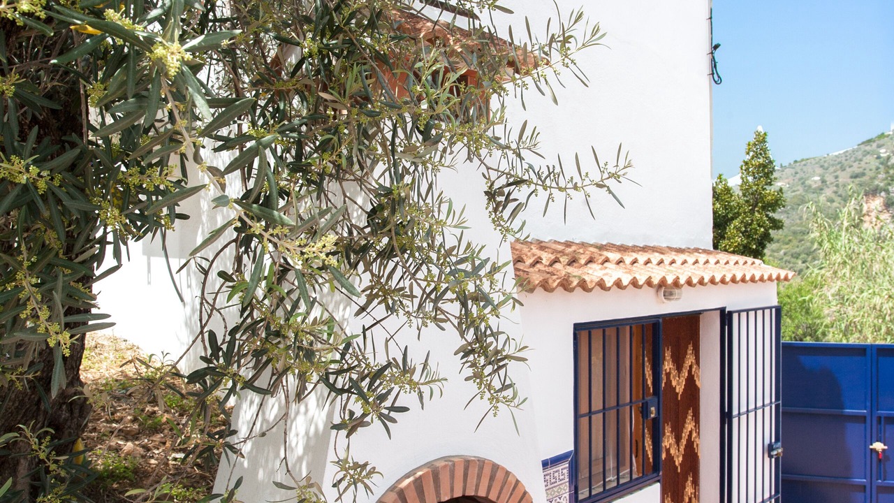 Photo of Patio Balcony in Comares