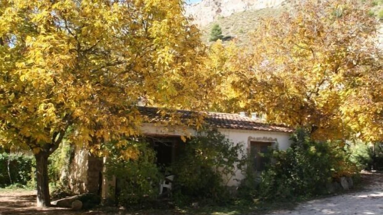 Photo of Outdoor in Nerpio