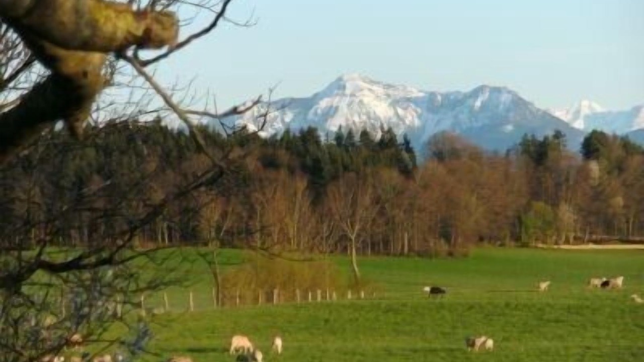 Photo of Others in Eggstatt