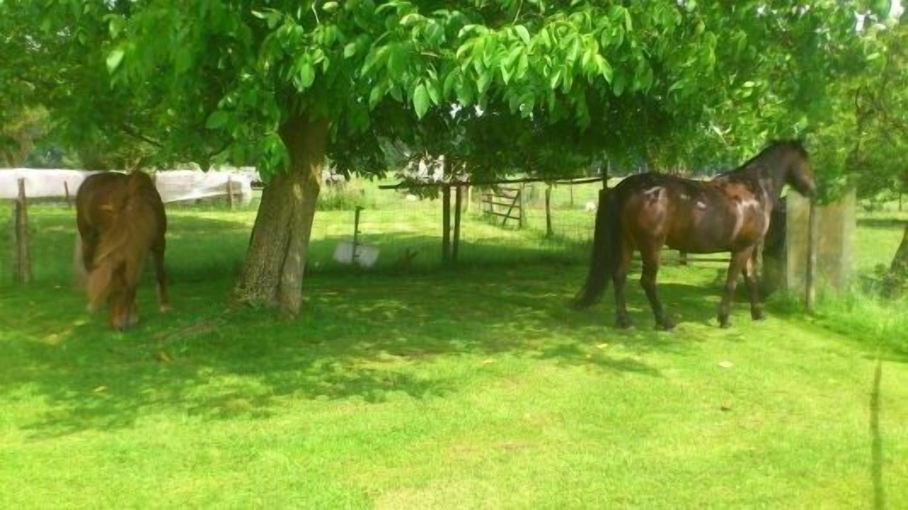 Photo of Outdoor in Eggstatt