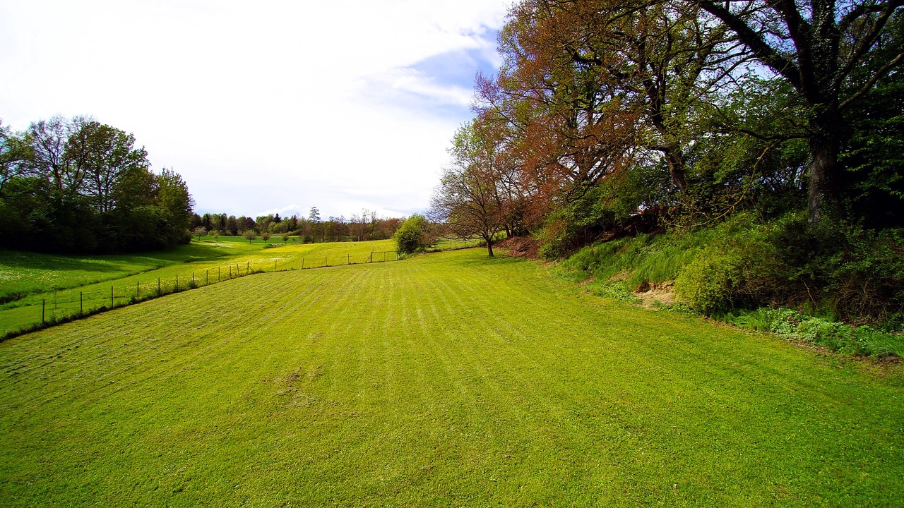 Photo of Outdoor in Uhldingen-Muehlhofen