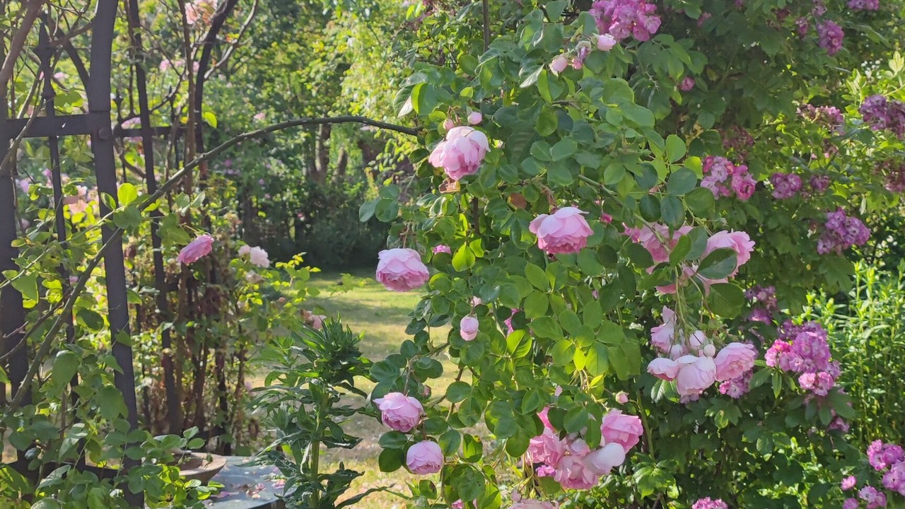 Photo of Outdoor in Bobingen