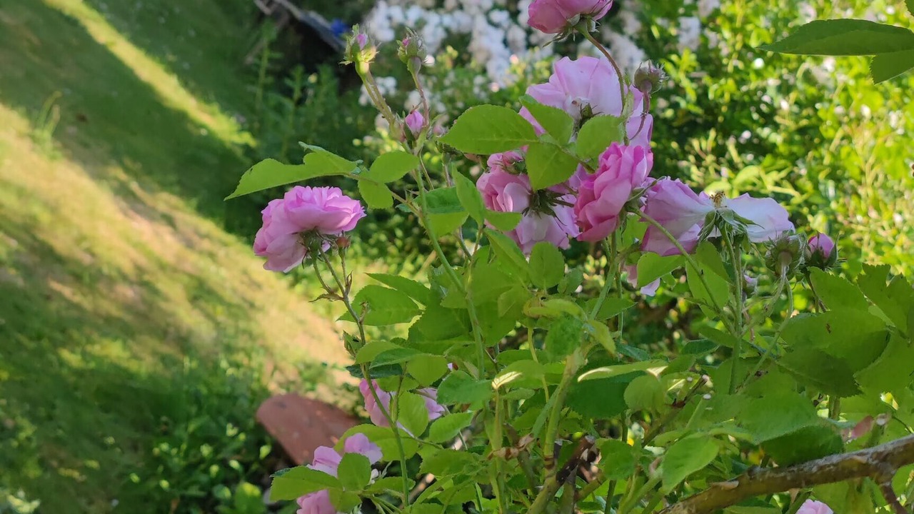 Photo of Outdoor in Bobingen