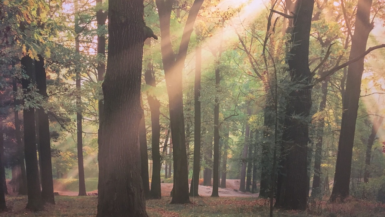 Photo of Outdoor in Freienohl