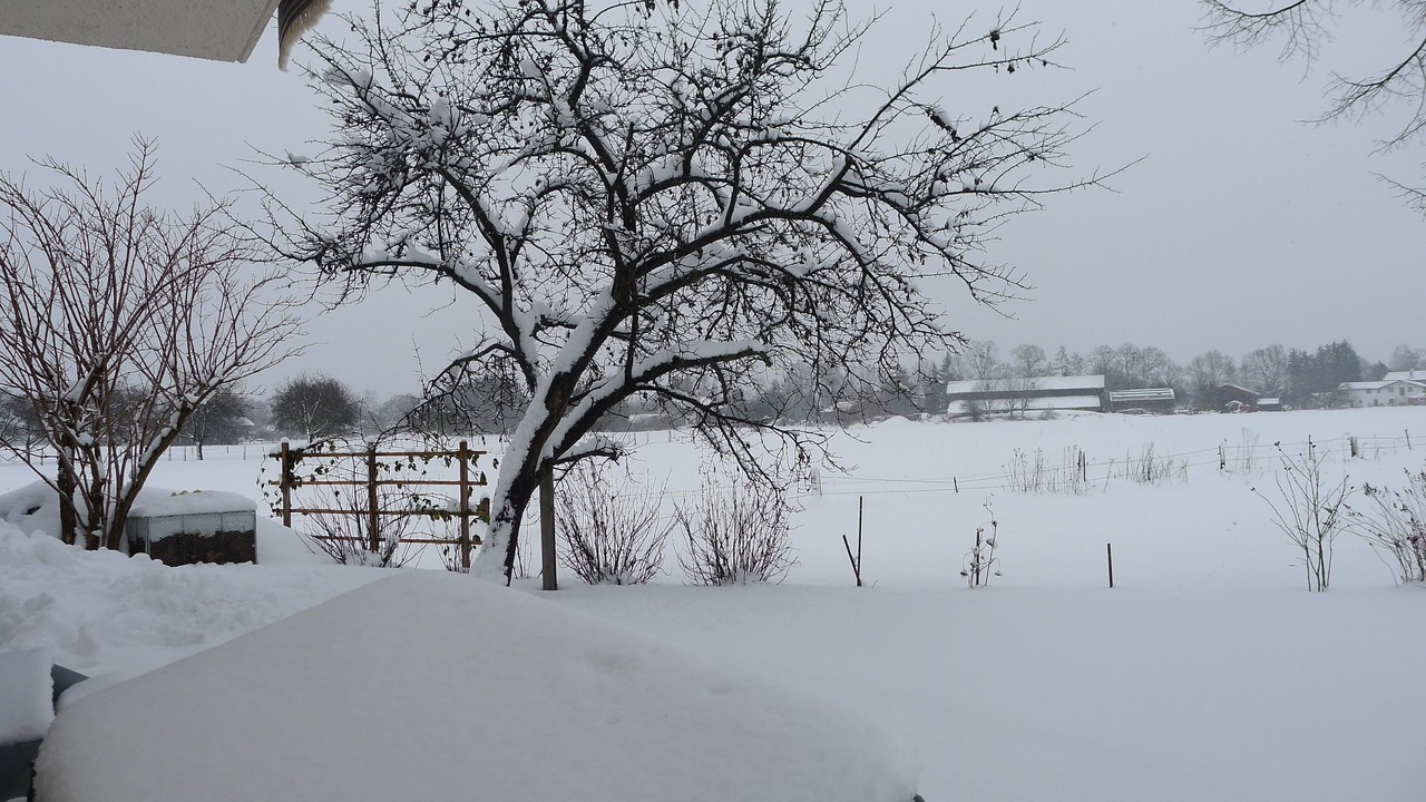 Photo of Outdoor in Luft