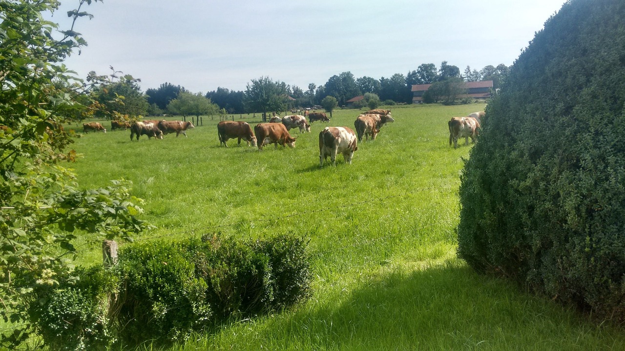 Photo of Outdoor in Luft