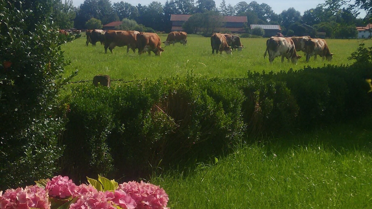Photo of Outdoor in Luft