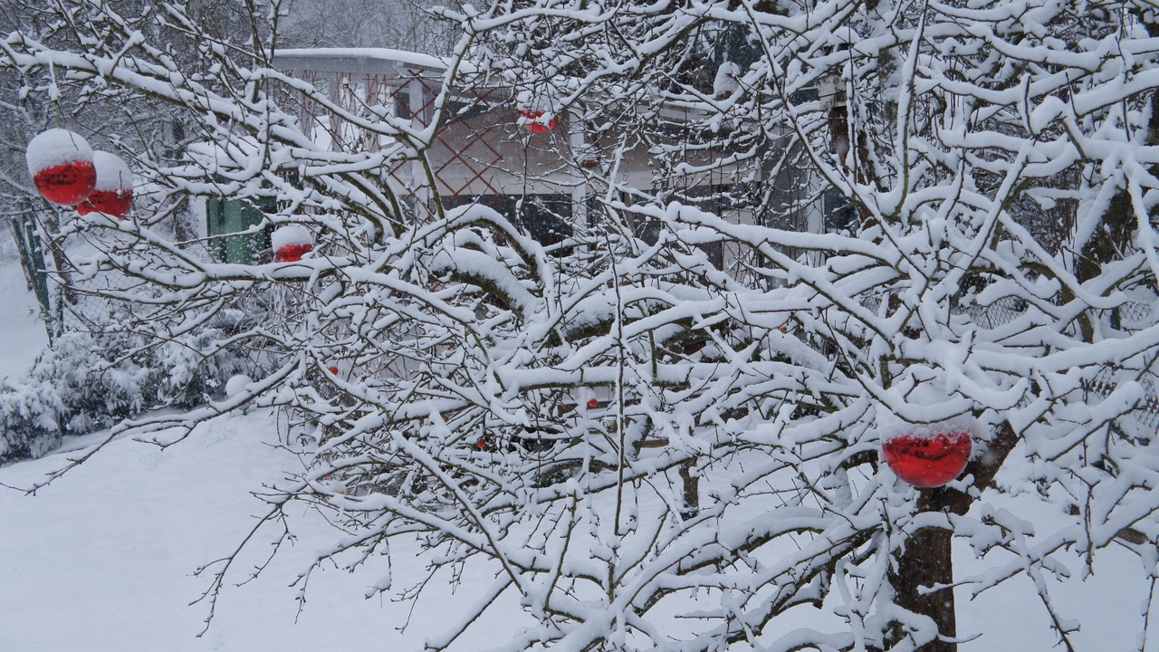 Photo of Outdoor in Mespelbrunn