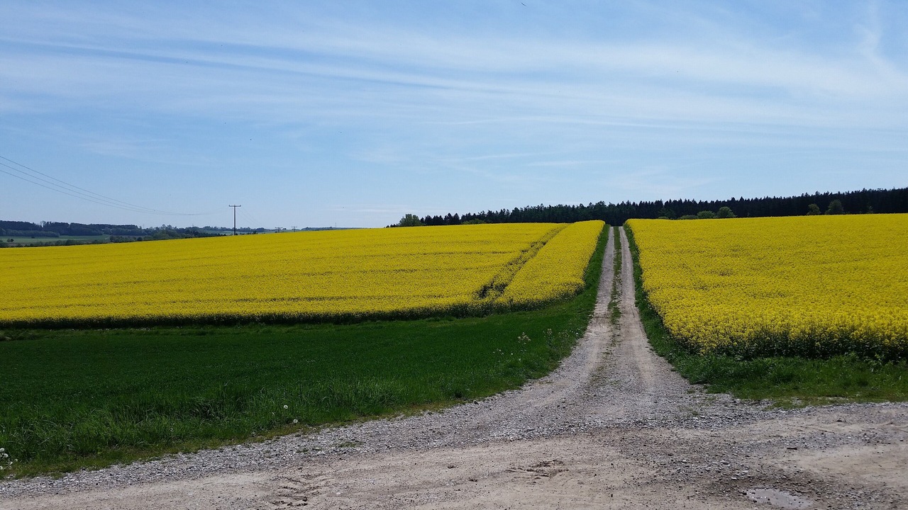 Photo of Outdoor in Ochsenhausen