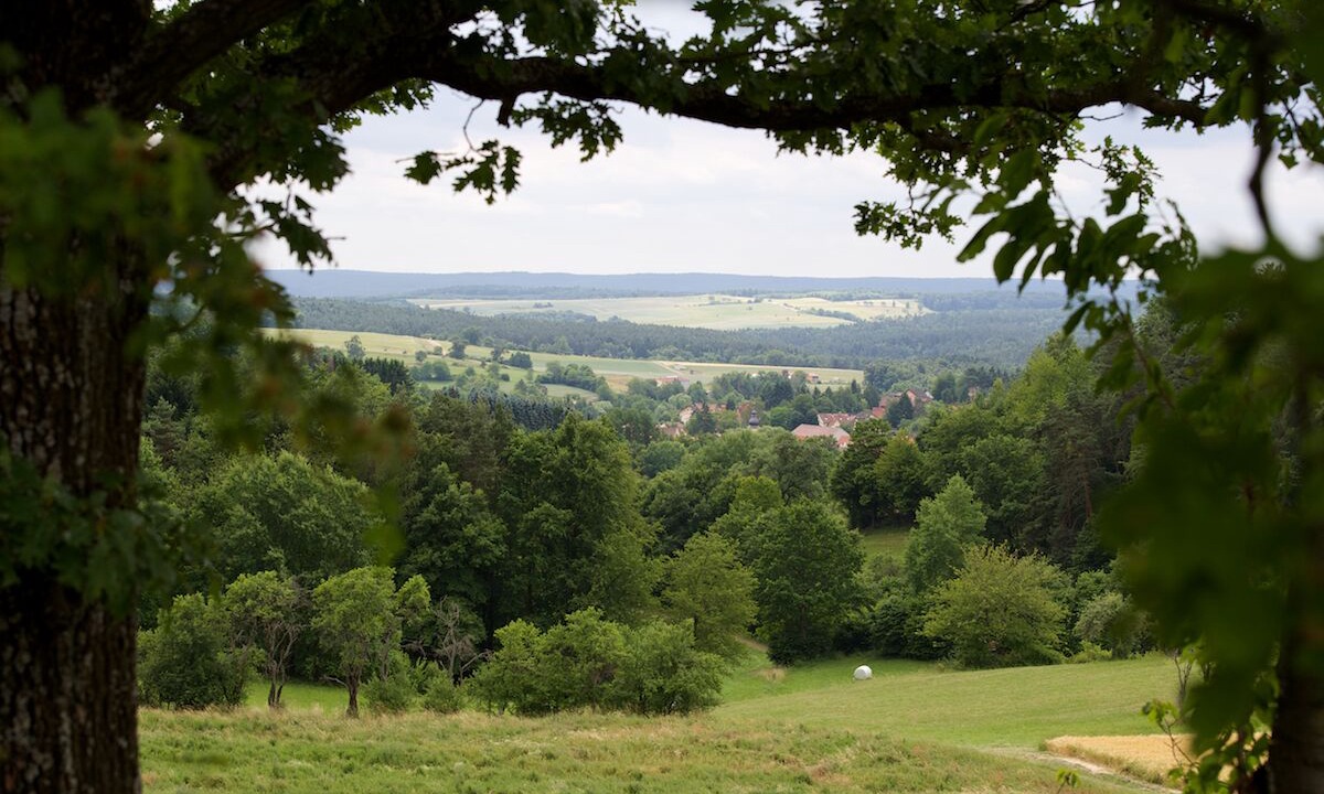 Photo of Outdoor in Koenigsberg in Bayern