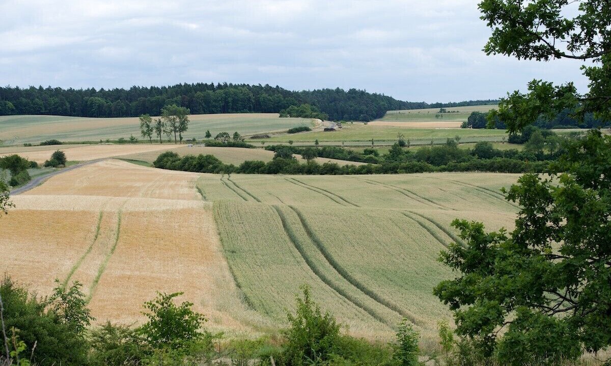 Photo of Others in Koenigsberg in Bayern