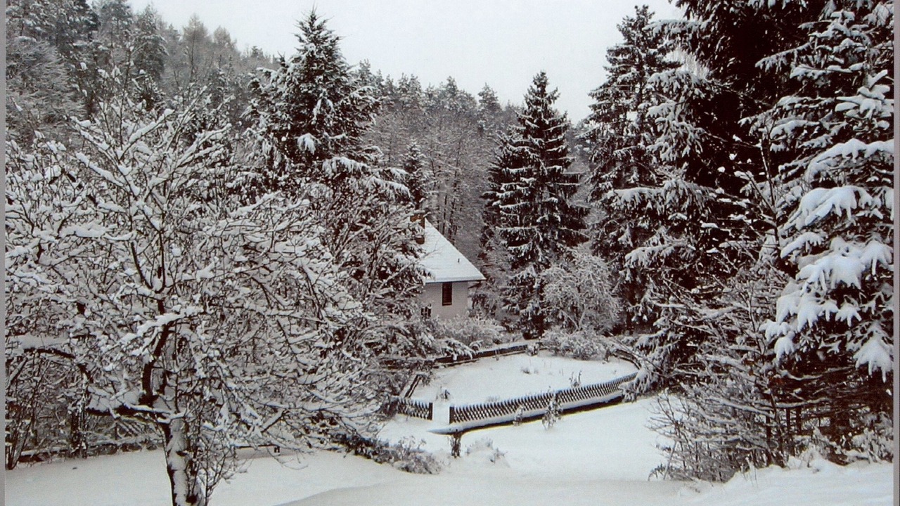 Photo of Outdoor in Koenigsberg in Bayern