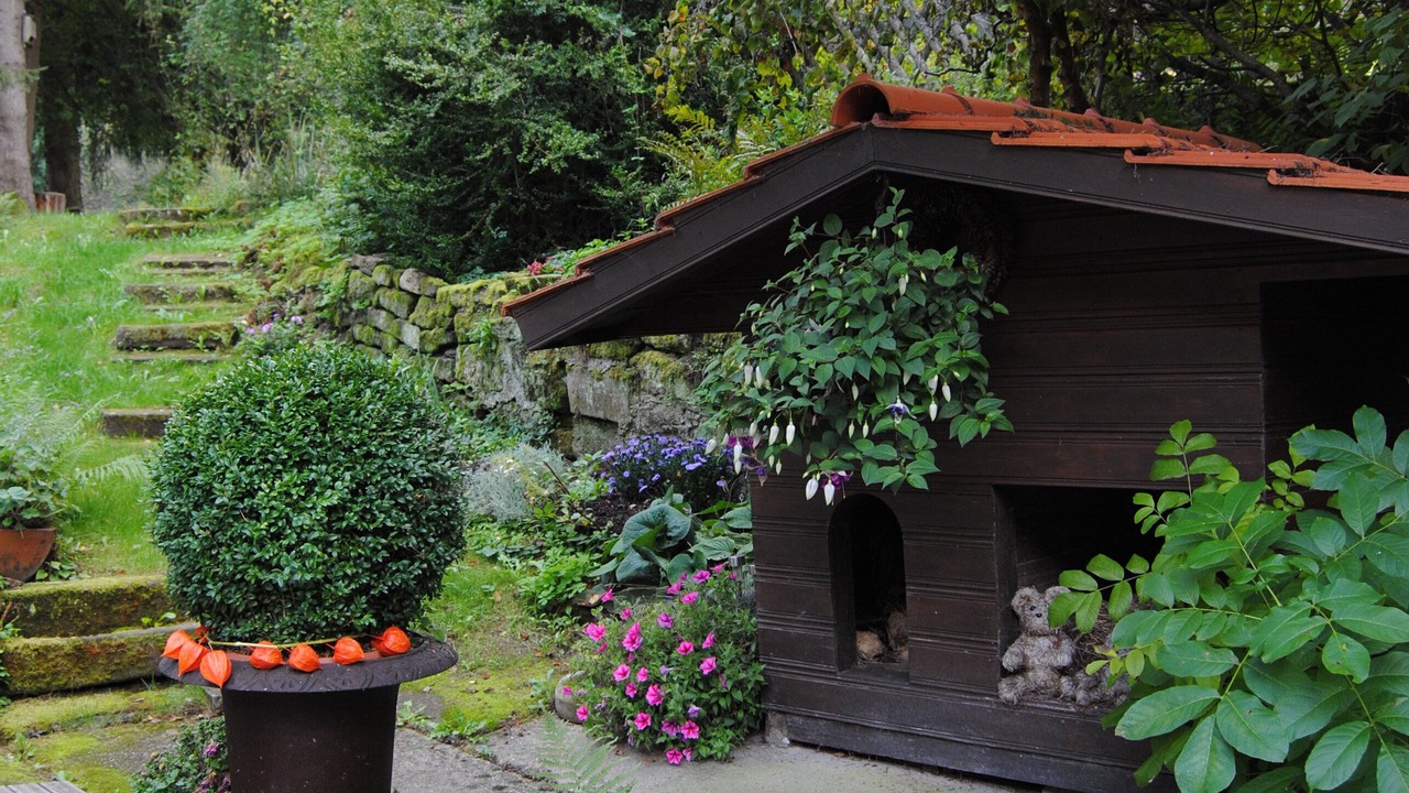 Photo of Outdoor in Koenigsberg in Bayern