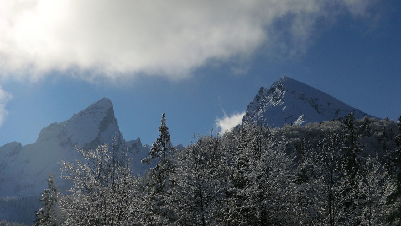 Photo of Others in Oberschonau