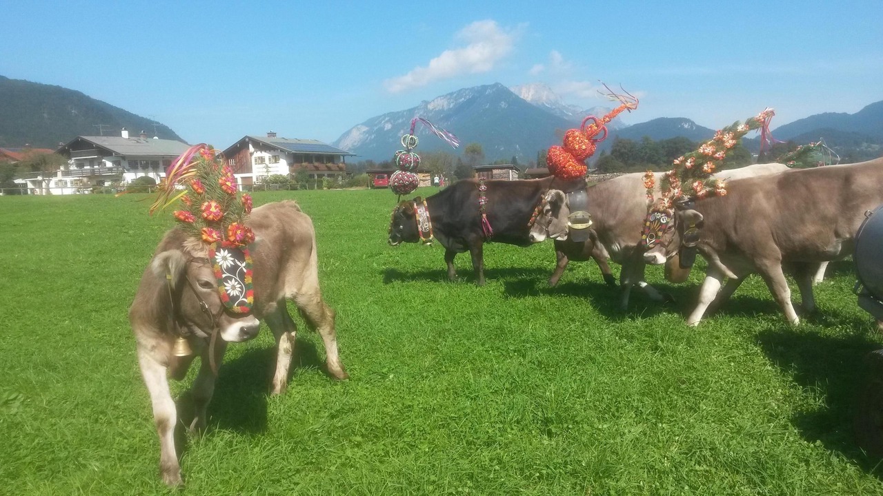 Photo of Outdoor in Oberschonau